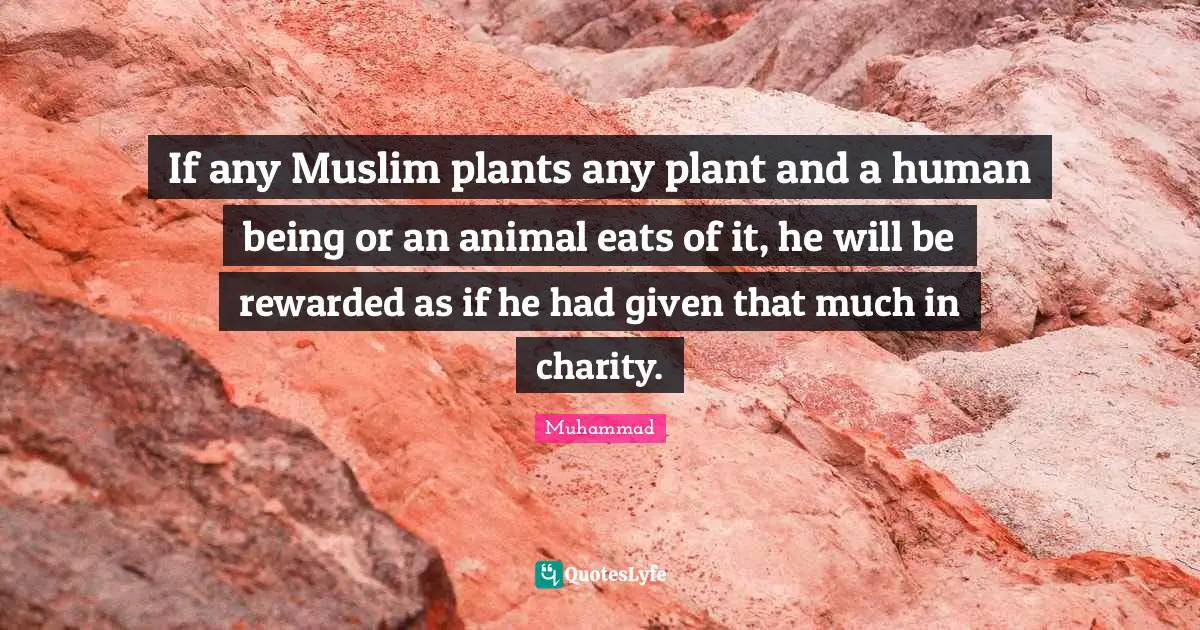 If any Muslim plants any plant and a human being or an animal eats of it, he will be rewarded as if he had given that much in charity.