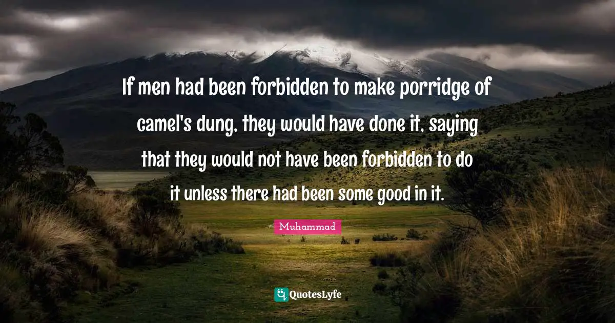 Camels Quotes: "If men had been forbidden to make porridge of camel's dung, they would have done it, saying that they would not have been forbidden to do it unless there had been some good in it."