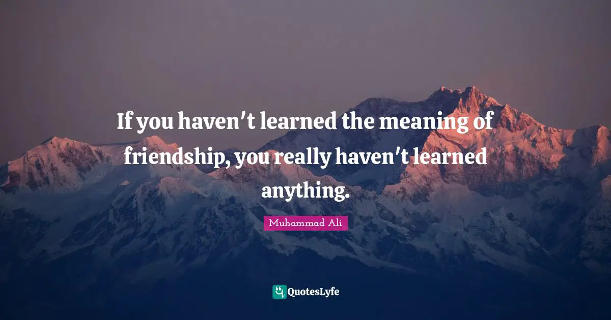 If you haven't learned the meaning of friendship, you really haven't learned anything.