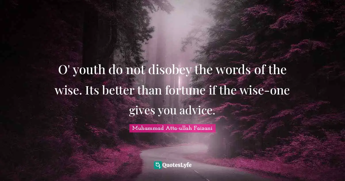 O' youth do not disobey the words of the wise. Its better than fortune if the wise-one gives you advice.