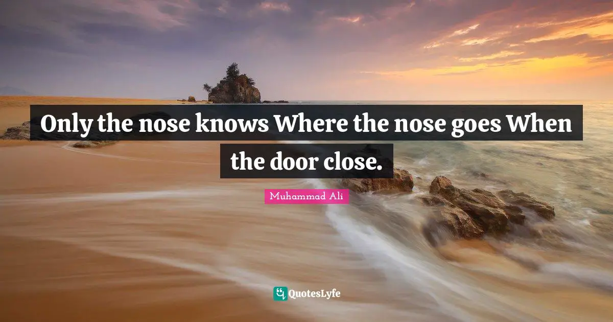 Only the nose knows Where the nose goes When the door close.
