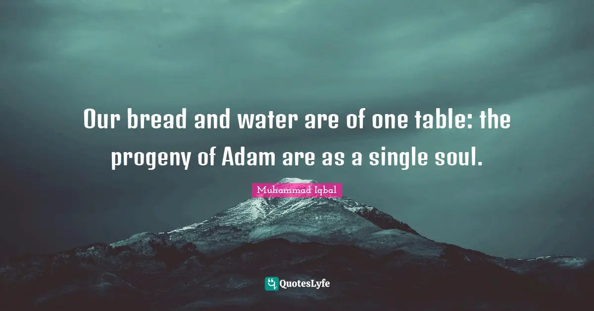 Our bread and water are of one table: the progeny of Adam are as a single soul.