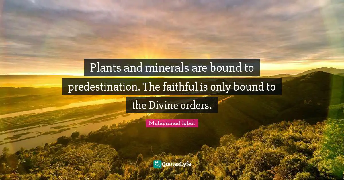 Plants and minerals are bound to predestination. The faithful is only bound to the Divine orders.