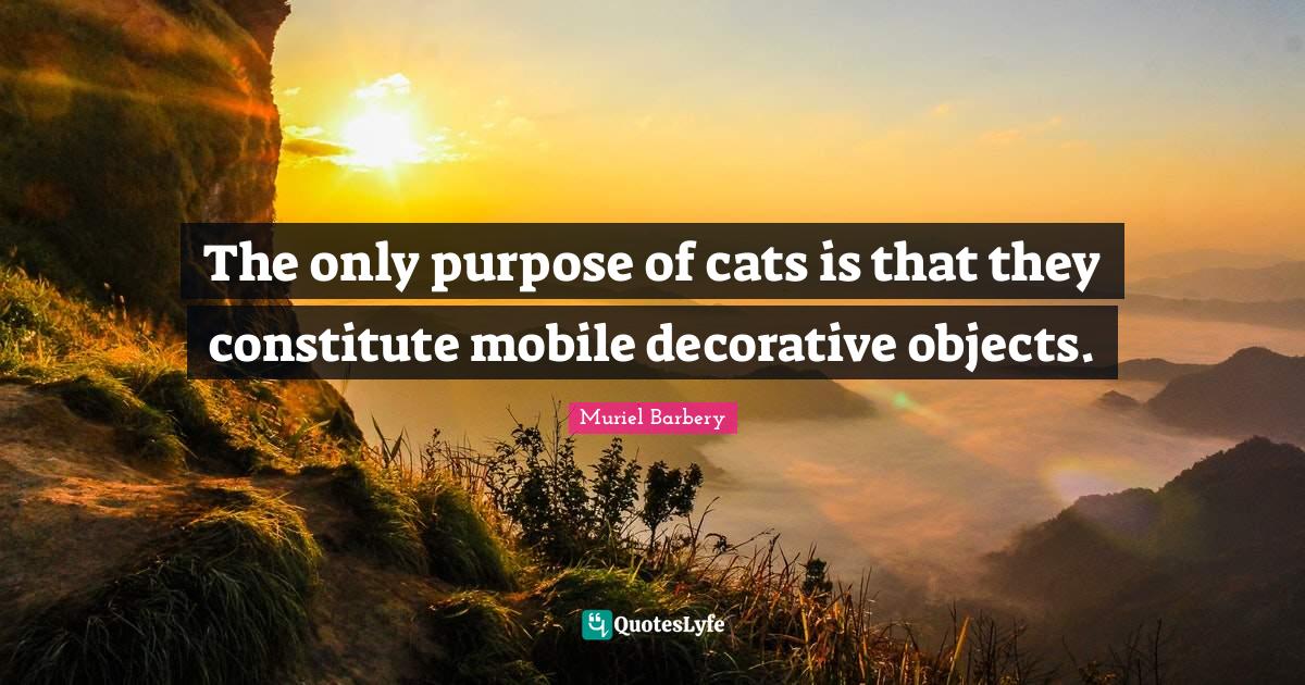 The only purpose of cats is that they constitute mobile decorative obj