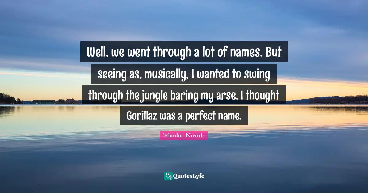 Well, we went through a lot of names. But seeing as, musically, I wanted to swing through the jungle baring my arse, I thought Gorillaz was a perfect name.