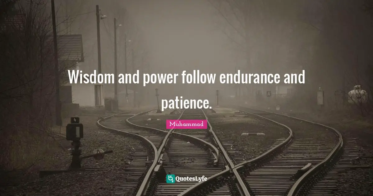 Wisdom and power follow endurance and patience.
