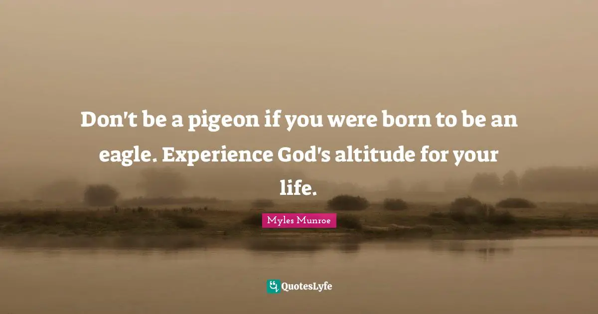 Don't be a pigeon if you were born to be an eagle. Experience God's altitude for your life.