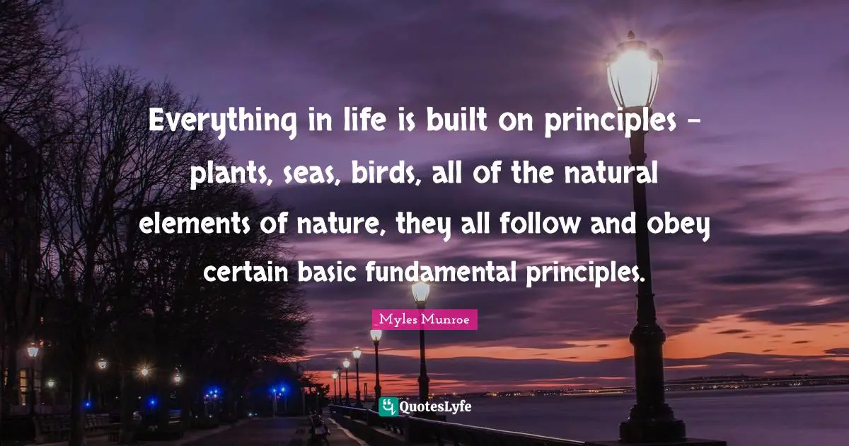 Everything in life is built on principles - plants, seas, birds, all of the natural elements of nature, they all follow and obey certain basic fundamental principles.