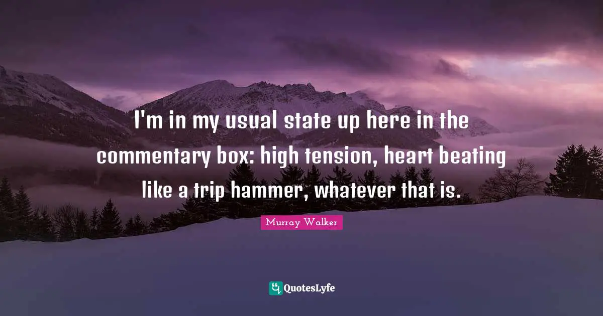 I'm in my usual state up here in the commentary box: high tension, heart beating like a trip hammer, whatever that is.