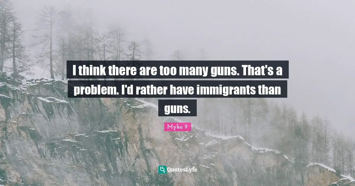 I think there are too many guns. That's a problem. I'd rather have immigrants than guns.