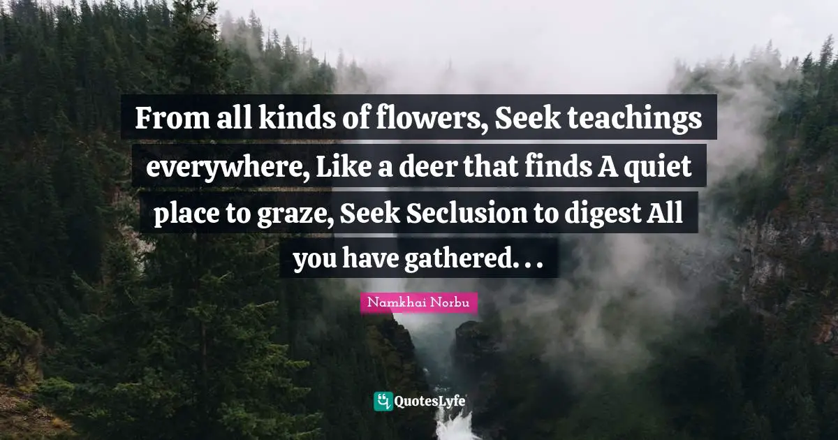 All Kinds Quotes: "From all kinds of flowers, Seek teachings everywhere, Like a deer that finds A quiet place to graze, Seek Seclusion to digest All you have gathered. . ."
