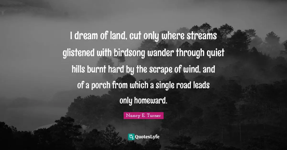 I dream of land, cut only where streams glistened with birdsong wander through quiet hills burnt hard by the scrape of wind, and of a porch from which a single road leads only homeward.