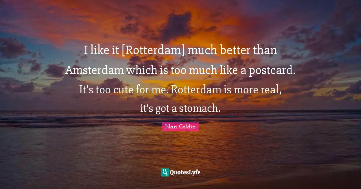 I like it [Rotterdam] much better than Amsterdam which is too much like a postcard. It's too cute for me. Rotterdam is more real, it's got a stomach.