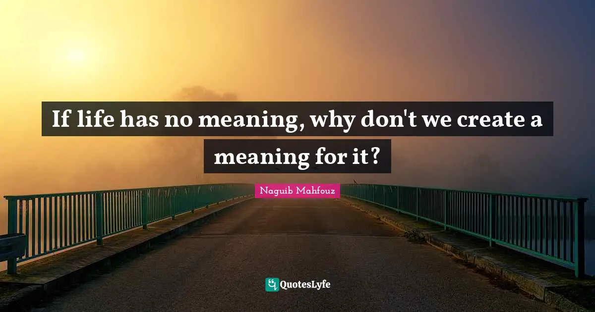 If life has no meaning, why don't we create a meaning for it?