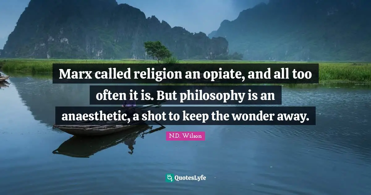 Marx called religion an opiate, and all too often it is. But philosophy is an anaesthetic, a shot to keep the wonder away.