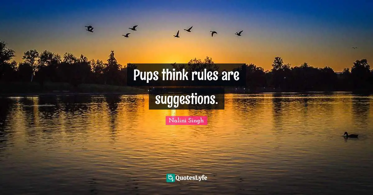 Pups think rules are suggestions.