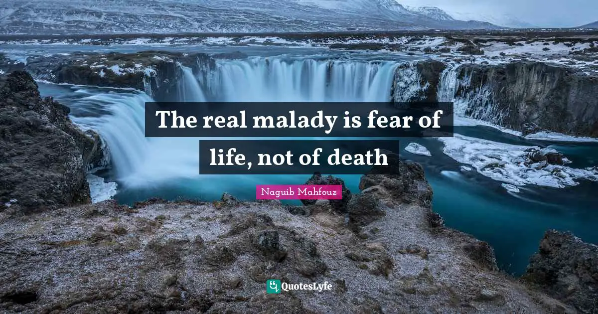 Fears Quotes: "The real malady is fear of life, not of death"