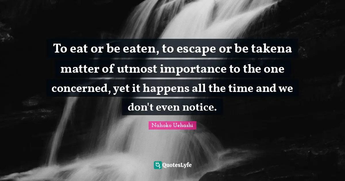 To eat or be eaten, to escape or be takena matter of utmost importance to the one concerned, yet it happens all the time and we don't even notice.