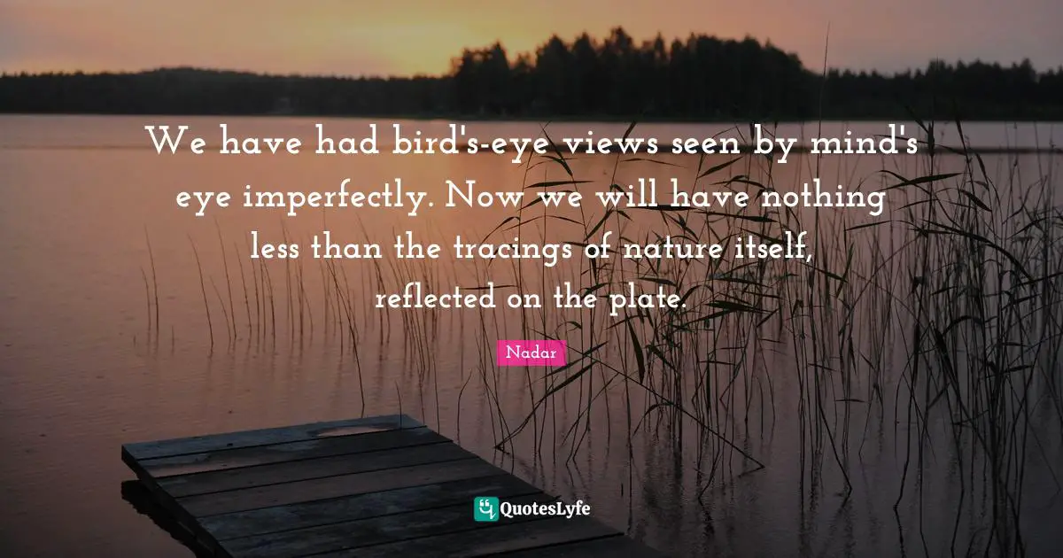 We have had bird's-eye views seen by mind's eye imperfectly. Now we will have nothing less than the tracings of nature itself, reflected on the plate.