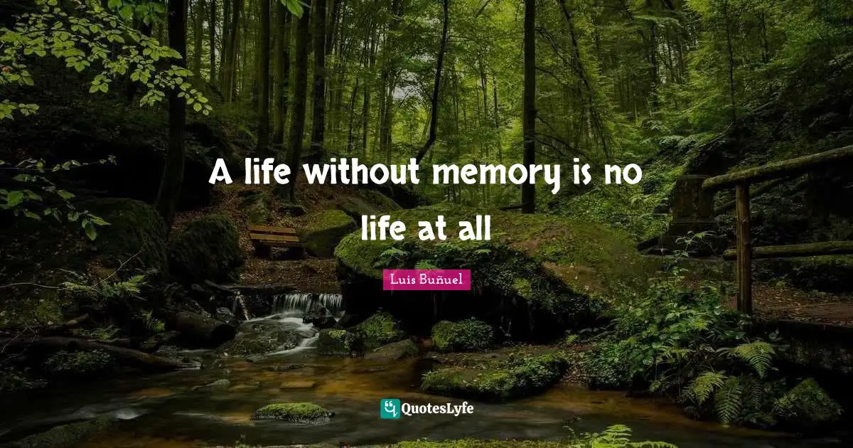 Luis Quotes: "A life without memory is no life at all"