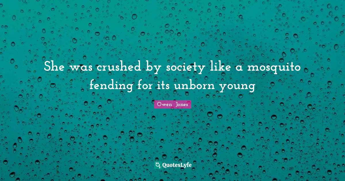 She was crushed by society like a mosquito fending for its unborn young