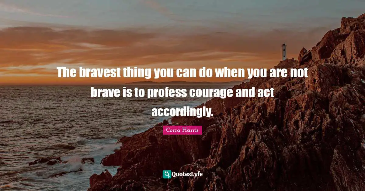The bravest thing you can do when you are not brave is to profess courage and act accordingly.
