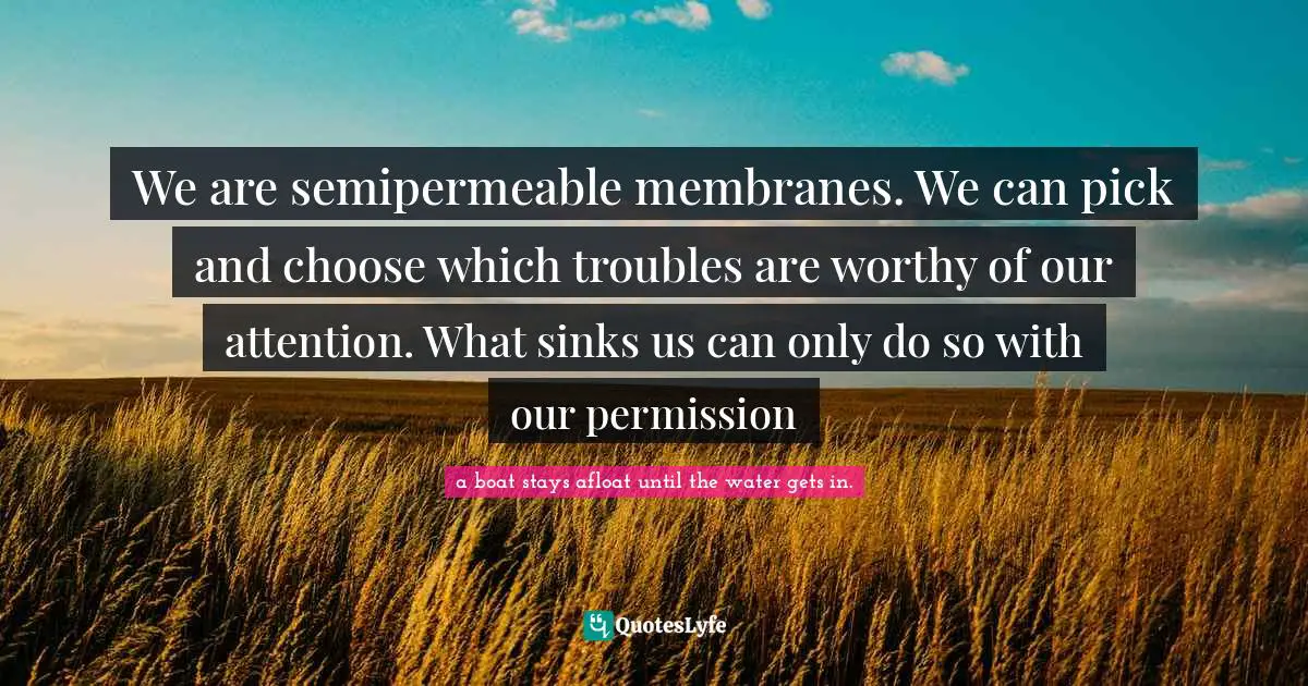 We are semipermeable membranes. We can pick and choose which troubles are worthy of our attention. What sinks us can only do so with our permission