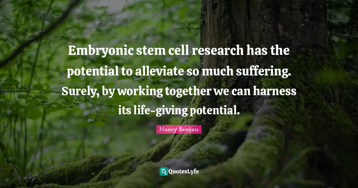 Stem Quotes: "Embryonic stem cell research has the potential to alleviate so much suffering. Surely, by working together we can harness its life-giving potential."