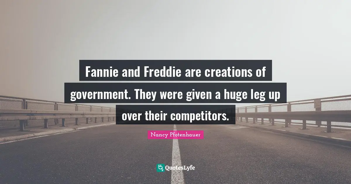 Fannie and Freddie are creations of government. They were given a huge leg up over their competitors.