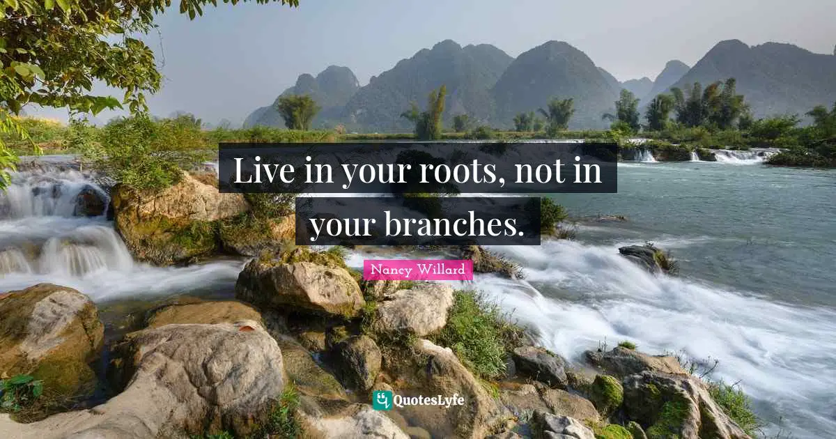 Live in your roots, not in your branches.