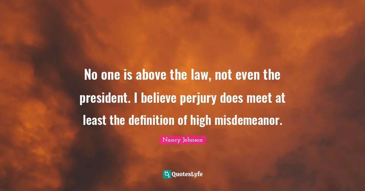 Nancy Johnson Quotes: "No one is above the law, not even the president. I believe perjury does meet at least the definition of high misdemeanor."