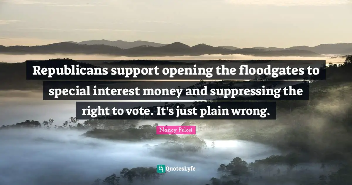Republicans support opening the floodgates to special interest money and suppressing the right to vote. It's just plain wrong.