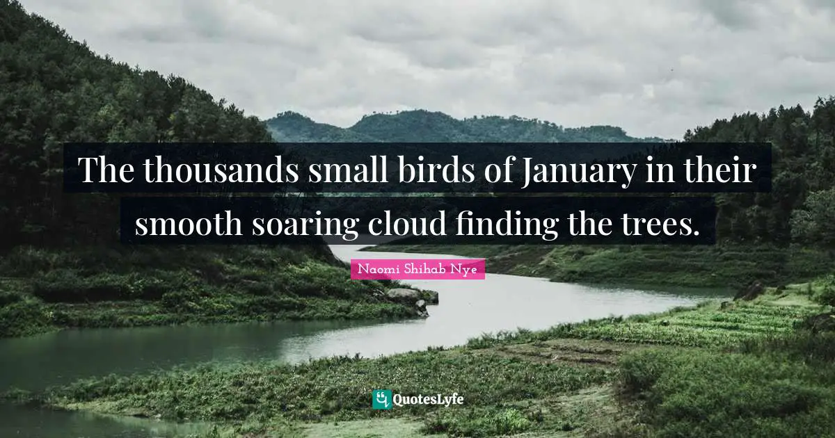 January Quotes: "The thousands small birds of January in their smooth soaring cloud finding the trees."