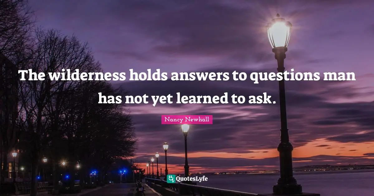 Wilderness Quotes: "The wilderness holds answers to questions man has not yet learned to ask."