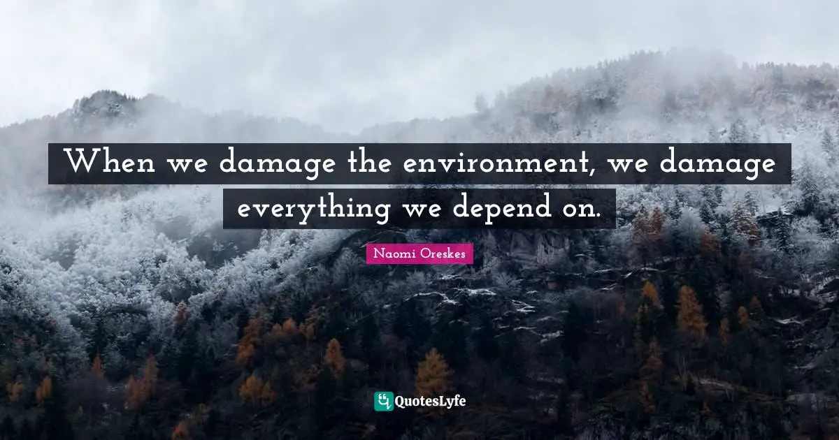 When we damage the environment, we damage everything we depend on.