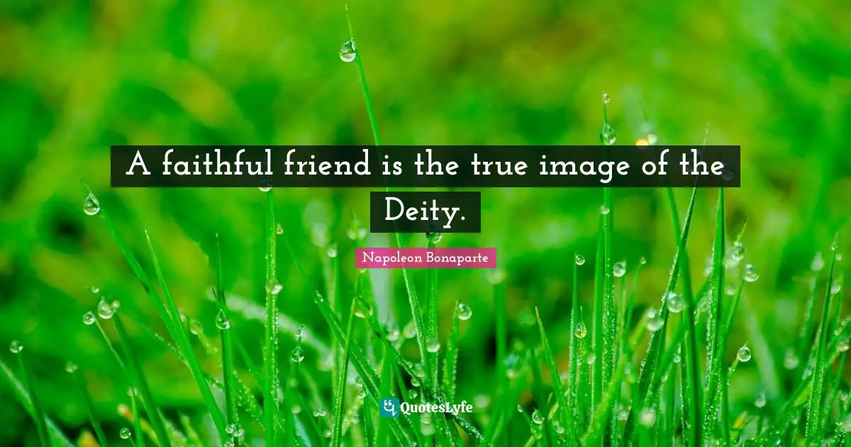 A faithful friend is the true image of the Deity.