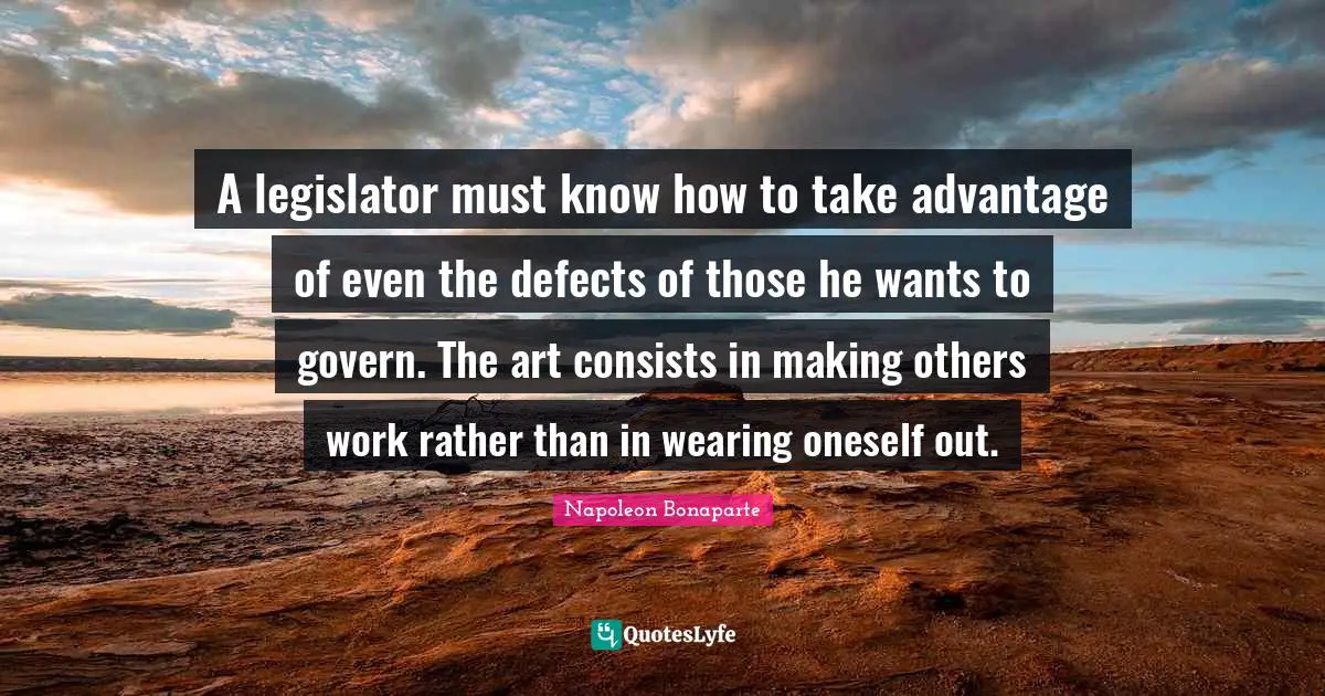 A legislator must know how to take advantage of even the defects of those he wants to govern. The art consists in making others work rather than in wearing oneself out.