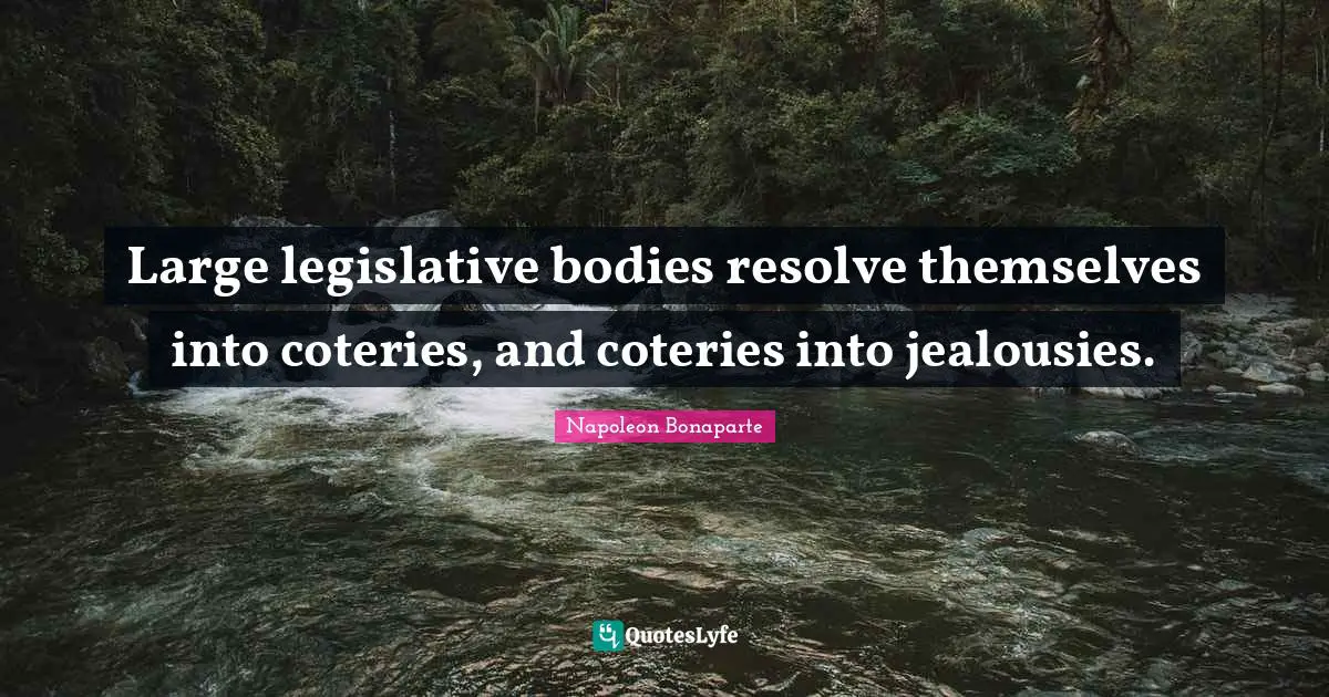 Large legislative bodies resolve themselves into coteries, and coteries into jealousies.