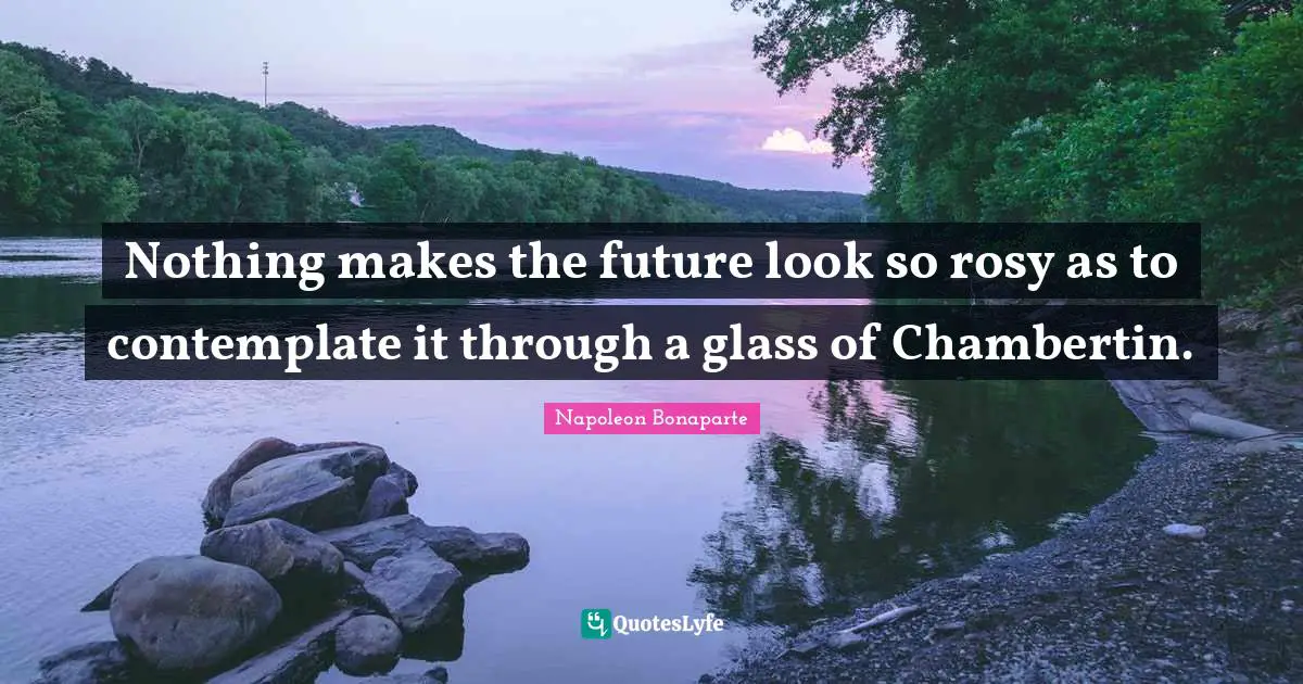 Nothing makes the future look so rosy as to contemplate it through a glass of Chambertin.
