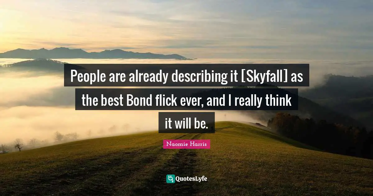 People are already describing it [Skyfall] as the best Bond flick ever, and I really think it will be.