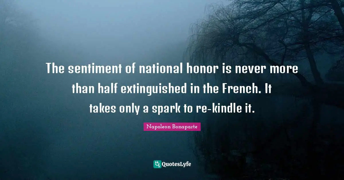 The sentiment of national honor is never more than half extinguished in the French. It takes only a spark to re-kindle it.