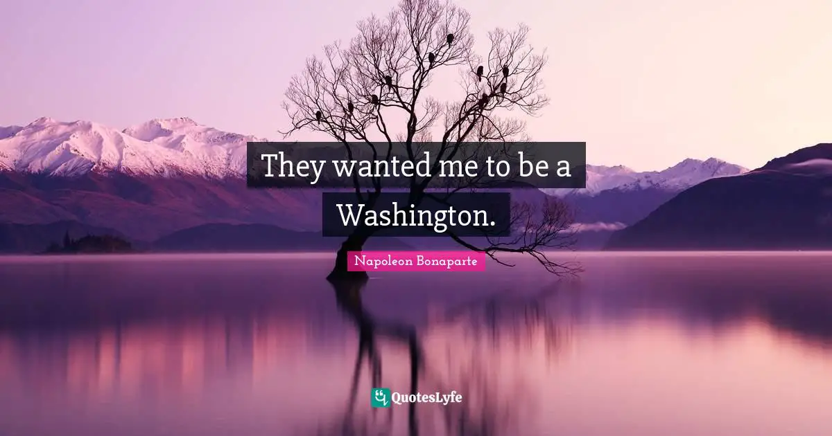 Term Limits Quotes: "They wanted me to be a Washington."