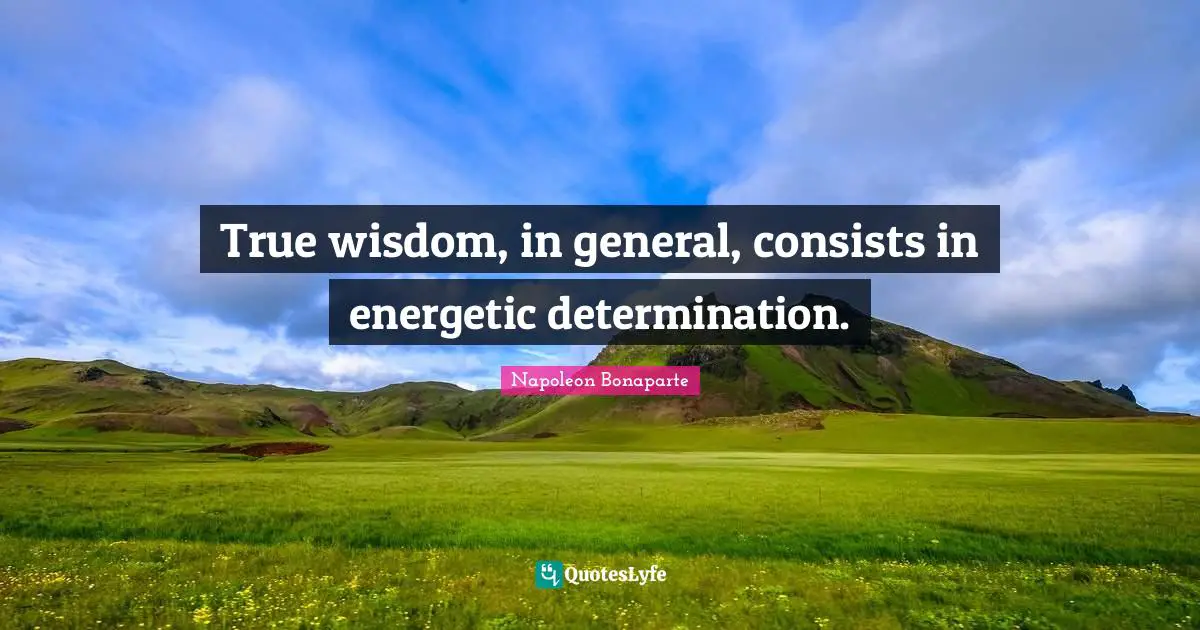 True Wisdom Quotes: "True wisdom, in general, consists in energetic determination."