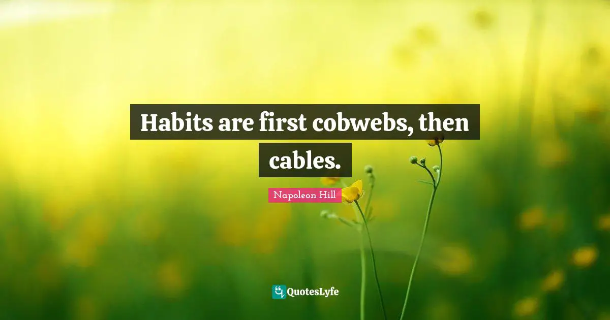 Habits are first cobwebs, then cables.