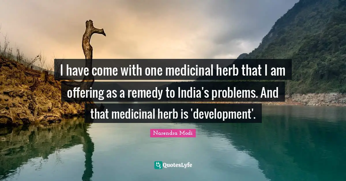 I have come with one medicinal herb that I am offering as a remedy to India's problems. And that medicinal herb is 'development'.