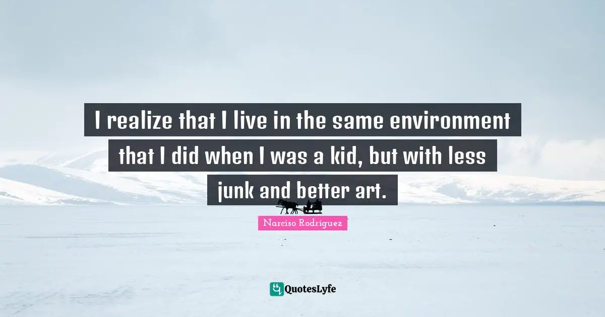 I realize that I live in the same environment that I did when I was a kid, but with less junk and better art.