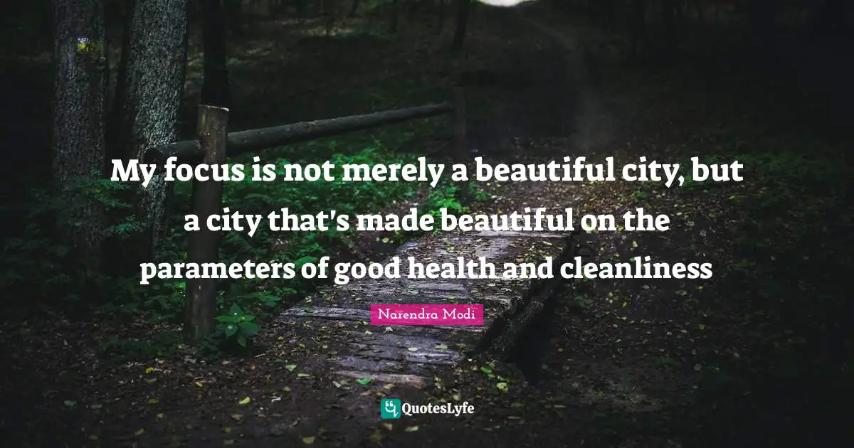 My focus is not merely a beautiful city, but a city that's made beautiful on the parameters of good health and cleanliness