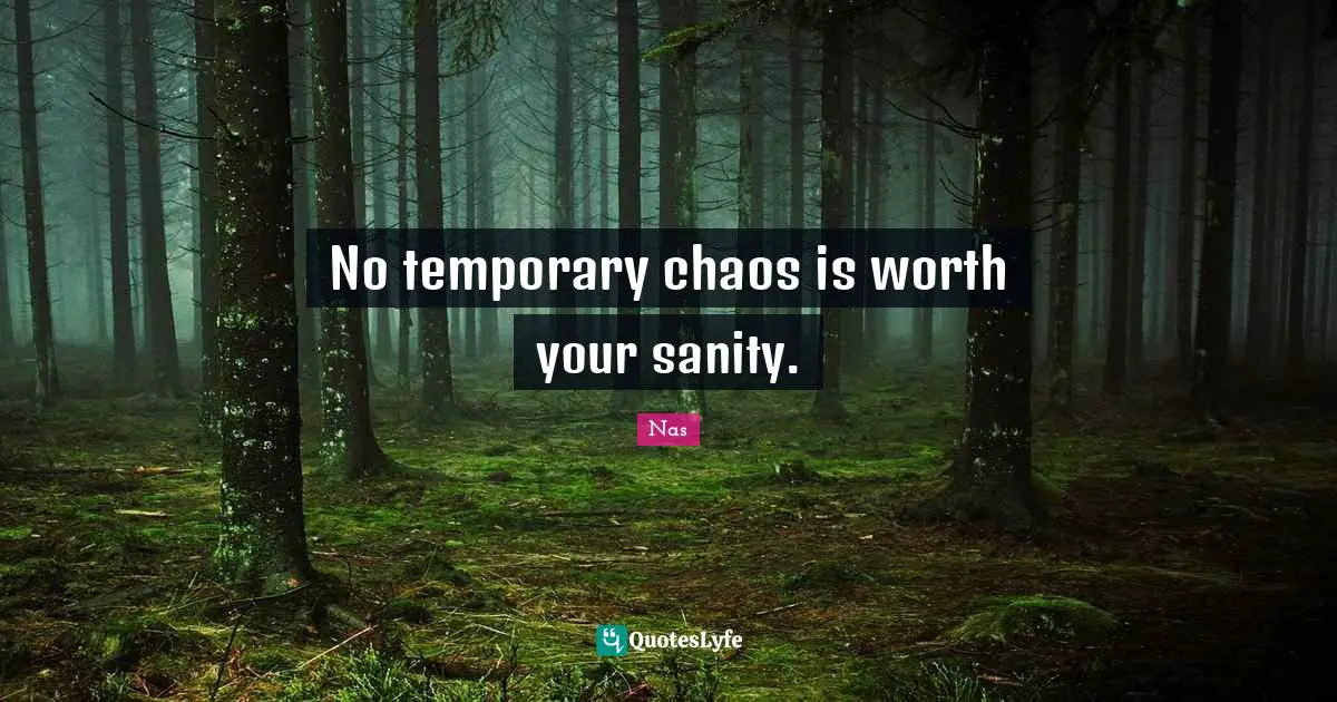 Nas Quotes: No temporary chaos is worth your sanity.