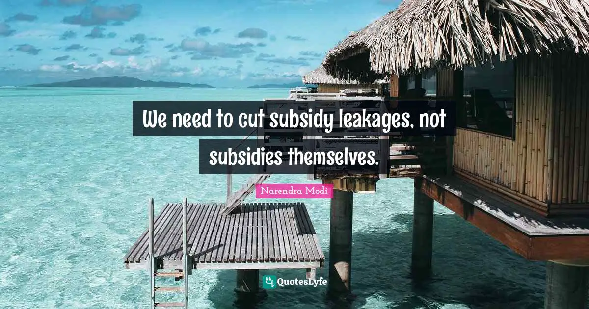 We need to cut subsidy leakages, not subsidies themselves.