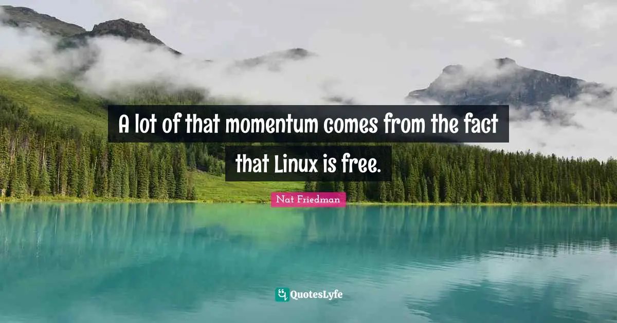 Nat Friedman Quotes: "A lot of that momentum comes from the fact that Linux is free."